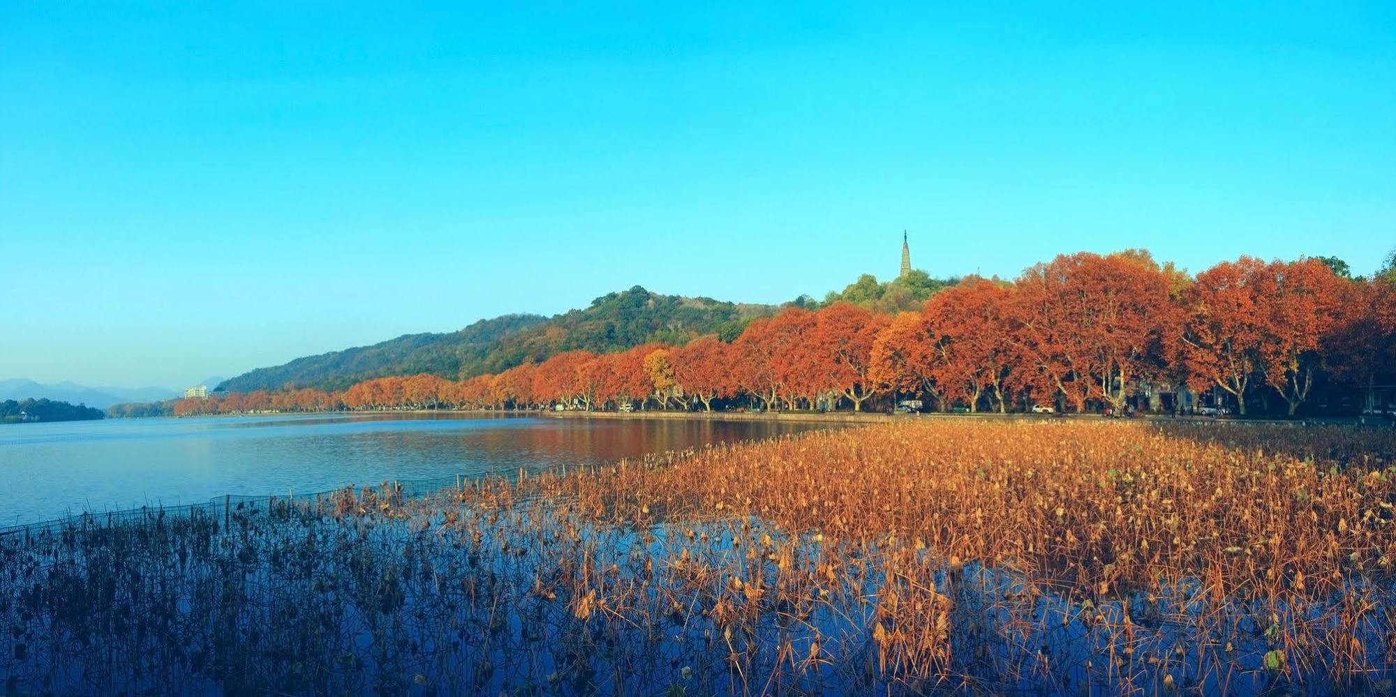 Four Points By Sheraton Hangzhou, Binjiang Buitenkant foto
